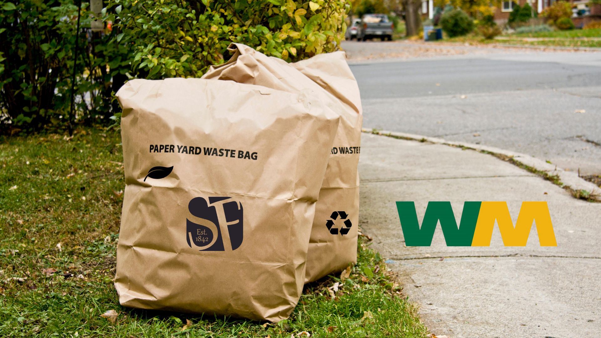 Leaf collection paper bags at curb with SF and WM logos